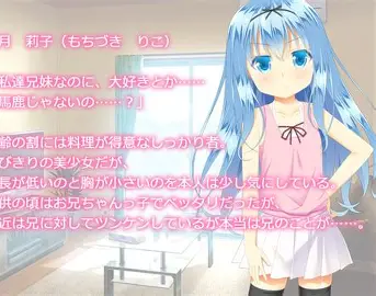 照顾哥哥的工作：お兄ちゃんのお世話係-KAZAMATA'S WEBSITE（GAMES）